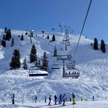 In Wald Near Zillertal Arena Dağ evi